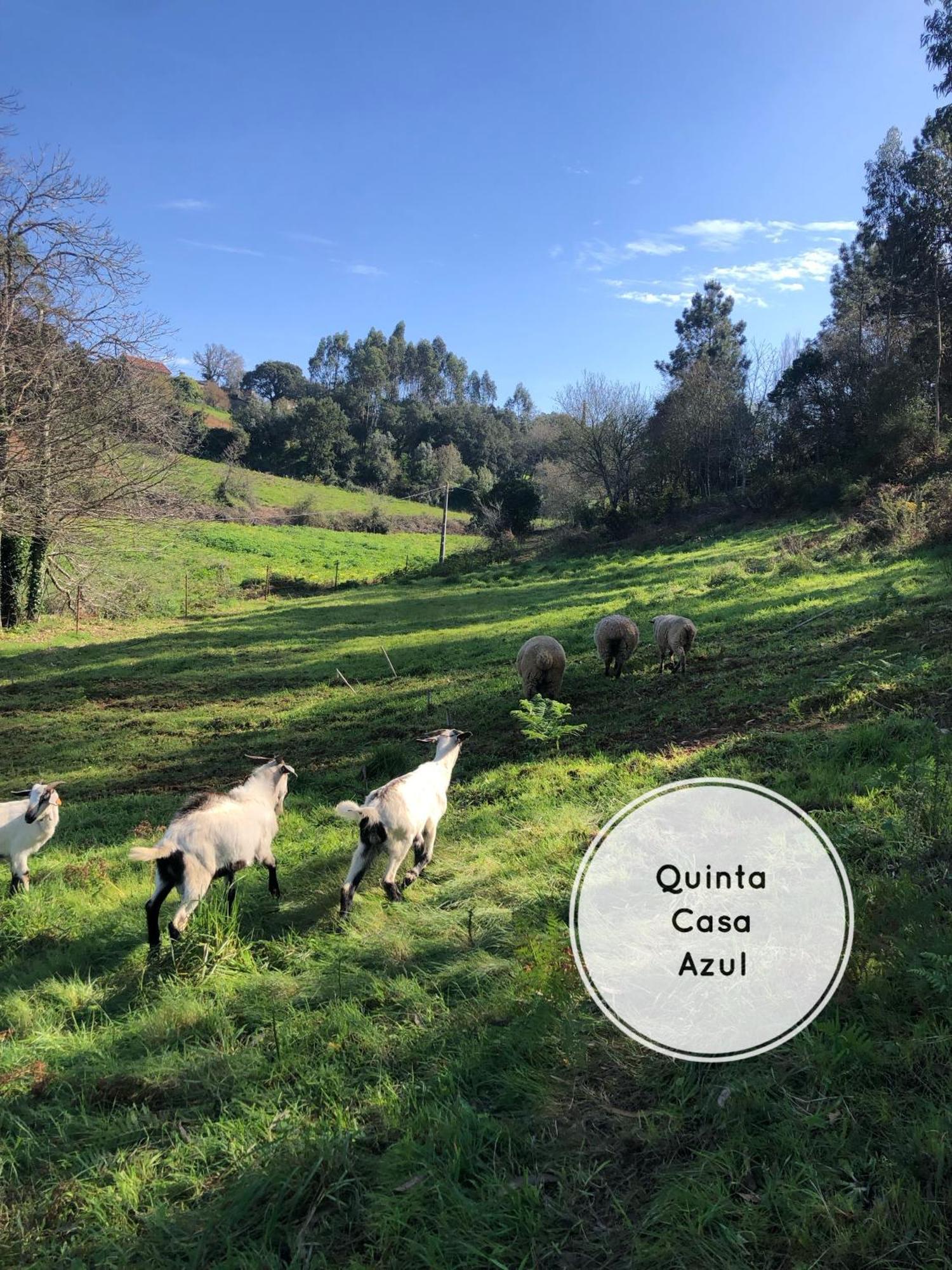 Quinta Da Casa Azul Villa Óbidos Dış mekan fotoğraf